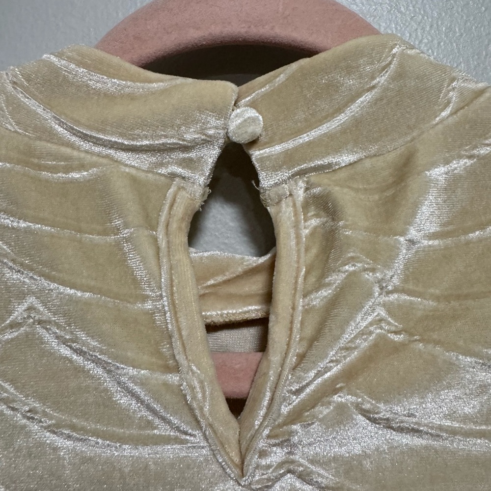 THML Cream Puff Sleeve Velvet Top - Picture 8 of 8